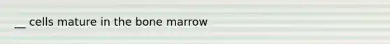 __ cells mature in the bone marrow