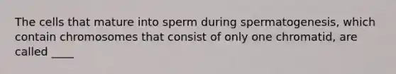 The cells that mature into sperm during spermatogenesis, which contain chromosomes that consist of only one chromatid, are called ____