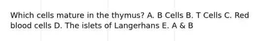 Which cells mature in the thymus? A. B Cells B. T Cells C. Red blood cells D. The islets of Langerhans E. A & B