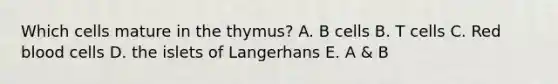 Which cells mature in the thymus? A. B cells B. T cells C. Red blood cells D. the islets of Langerhans E. A & B