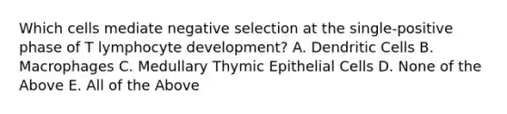 Which cells mediate negative selection at the single-positive phase of T lymphocyte development? A. Dendritic Cells B. Macrophages C. Medullary Thymic Epithelial Cells D. None of the Above E. All of the Above