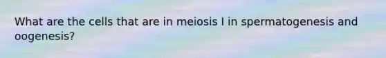 What are the cells that are in meiosis I in spermatogenesis and oogenesis?