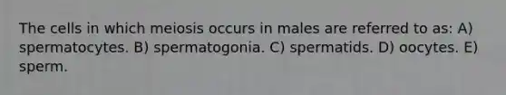 The cells in which meiosis occurs in males are referred to as: A) spermatocytes. B) spermatogonia. C) spermatids. D) oocytes. E) sperm.