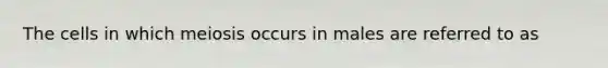 The cells in which meiosis occurs in males are referred to as