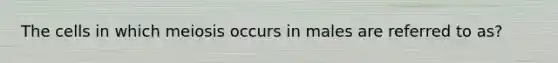 The cells in which meiosis occurs in males are referred to as?