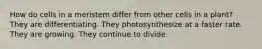 How do cells in a meristem differ from other cells in a plant? They are differentiating. They photosynthesize at a faster rate. They are growing. They continue to divide.