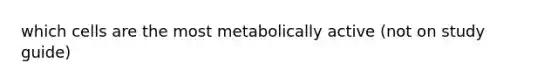 which cells are the most metabolically active (not on study guide)