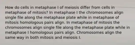 How do cells in metaphase I of meiosis differ from cells in metaphase of mitosis? In metaphase I the chromosomes align single file along the metaphase plate while in metaphase of mitosis homologous pairs align. In metaphase of mitosis the chromosomes align single file along the metaphase plate while in metaphase I homologous pairs align. Chromosomes align the same way in both mitosis and meiosis I.