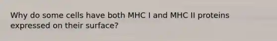 Why do some cells have both MHC I and MHC II proteins expressed on their surface?