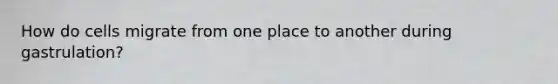 How do cells migrate from one place to another during gastrulation?