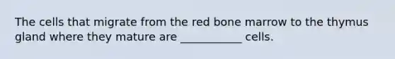 The cells that migrate from the red bone marrow to the thymus gland where they mature are ___________ cells.