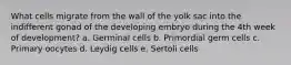 What cells migrate from the wall of the yolk sac into the indifferent gonad of the developing embryo during the 4th week of development? a. Germinal cells b. Primordial germ cells c. Primary oocytes d. Leydig cells e. Sertoli cells