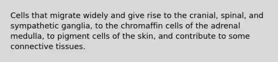 Cells that migrate widely and give rise to the cranial, spinal, and sympathetic ganglia, to the chromaffin cells of the adrenal medulla, to pigment cells of the skin, and contribute to some connective tissues.