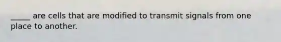 _____ are cells that are modified to transmit signals from one place to another.