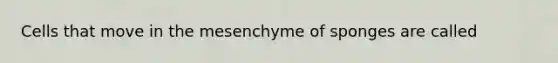 Cells that move in the mesenchyme of sponges are called