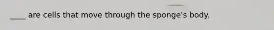 ____ are cells that move through the sponge's body.