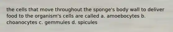 the cells that move throughout the sponge's body wall to deliver food to the organism's cells are called a. amoebocytes b. choanocytes c. gemmules d. spicules