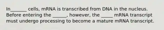 In_______ cells, mRNA is transcribed from DNA in the nucleus. Before entering the ______, however, the _____ mRNA transcript must undergo processing to become a mature mRNA transcript.