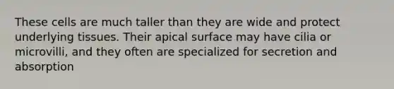 These cells are much taller than they are wide and protect underlying tissues. Their apical surface may have cilia or microvilli, and they often are specialized for secretion and absorption