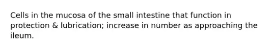 Cells in the mucosa of the small intestine that function in protection & lubrication; increase in number as approaching the ileum.