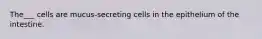 The___ cells are mucus-secreting cells in the epithelium of the intestine.