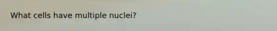 What cells have multiple nuclei?