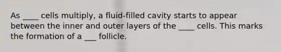 As ____ cells multiply, a fluid-filled cavity starts to appear between the inner and outer layers of the ____ cells. This marks the formation of a ___ follicle.