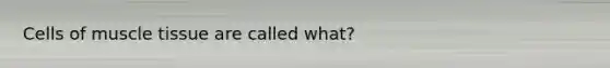 Cells of muscle tissue are called what?