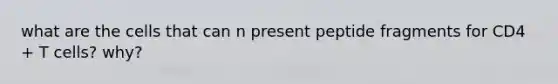 what are the cells that can n present peptide fragments for CD4 + T cells? why?