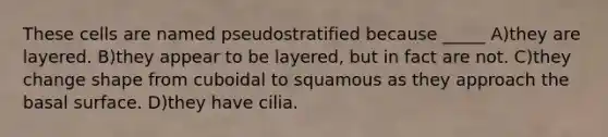 These cells are named pseudostratified because _____ A)they are layered. B)they appear to be layered, but in fact are not. C)they change shape from cuboidal to squamous as they approach the basal surface. D)they have cilia.