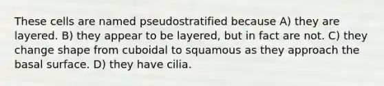 These cells are named pseudostratified because A) they are layered. B) they appear to be layered, but in fact are not. C) they change shape from cuboidal to squamous as they approach the basal surface. D) they have cilia.