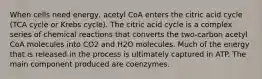 When cells need energy, acetyl CoA enters the citric acid cycle (TCA cycle or Krebs cycle). The citric acid cycle is a complex series of chemical reactions that converts the two-carbon acetyl CoA molecules into CO2 and H2O molecules. Much of the energy that is released in the process is ultimately captured in ATP. The main component produced are coenzymes.