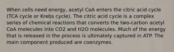 When cells need energy, acetyl CoA enters the citric acid cycle (TCA cycle or Krebs cycle). The citric acid cycle is a complex series of chemical reactions that converts the two-carbon acetyl CoA molecules into CO2 and H2O molecules. Much of the energy that is released in the process is ultimately captured in ATP. The main component produced are coenzymes.