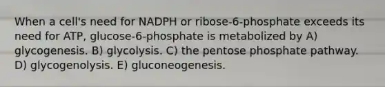 When a cell's need for NADPH or ribose-6-phosphate exceeds its need for ATP, glucose-6-phosphate is metabolized by A) glycogenesis. B) glycolysis. C) the pentose phosphate pathway. D) glycogenolysis. E) gluconeogenesis.