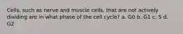 Cells, such as nerve and muscle cells, that are not actively dividing are in what phase of the cell cycle? a. G0 b. G1 c. S d. G2