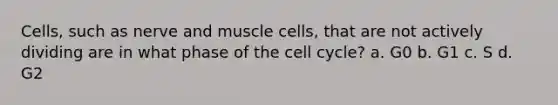 Cells, such as nerve and muscle cells, that are not actively dividing are in what phase of the <a href='https://www.questionai.com/knowledge/keQNMM7c75-cell-cycle' class='anchor-knowledge'>cell cycle</a>? a. G0 b. G1 c. S d. G2