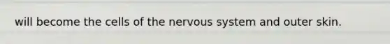 will become the cells of the nervous system and outer skin.