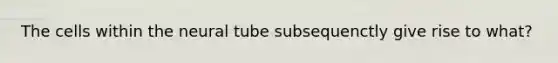 The cells within the neural tube subsequenctly give rise to what?