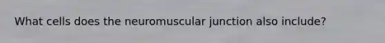 What cells does the neuromuscular junction also include?