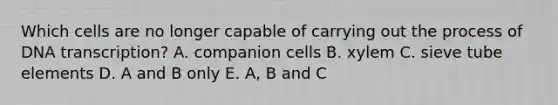 Which cells are no longer capable of carrying out the process of DNA transcription? A. companion cells B. xylem C. sieve tube elements D. A and B only E. A, B and C