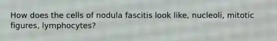 How does the cells of nodula fascitis look like, nucleoli, mitotic figures, lymphocytes?
