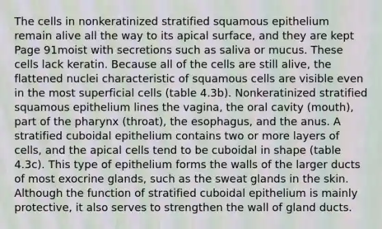 The cells in nonkeratinized stratified squamous epithelium remain alive all the way to its apical surface, and they are kept Page 91moist with secretions such as saliva or mucus. These cells lack keratin. Because all of the cells are still alive, the flattened nuclei characteristic of squamous cells are visible even in the most superficial cells (table 4.3b). Nonkeratinized stratified squamous epithelium lines the vagina, the oral cavity (mouth), part of the pharynx (throat), the esophagus, and the anus. A stratified cuboidal epithelium contains two or more layers of cells, and the apical cells tend to be cuboidal in shape (table 4.3c). This type of epithelium forms the walls of the larger ducts of most exocrine glands, such as the sweat glands in the skin. Although the function of stratified cuboidal epithelium is mainly protective, it also serves to strengthen the wall of gland ducts.