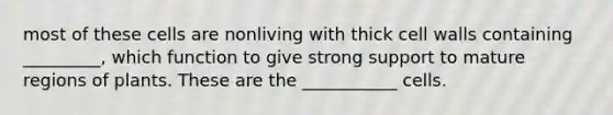most of these cells are nonliving with thick cell walls containing _________, which function to give strong support to mature regions of plants. These are the ___________ cells.