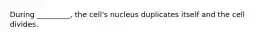 During _________, the cell's nucleus duplicates itself and the cell divides.