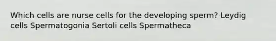 Which cells are nurse cells for the developing sperm? Leydig cells Spermatogonia Sertoli cells Spermatheca