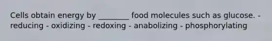 Cells obtain energy by ________ food molecules such as glucose. - reducing - oxidizing - redoxing - anabolizing - phosphorylating