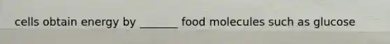 cells obtain energy by _______ food molecules such as glucose