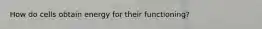 How do cells obtain energy for their functioning?