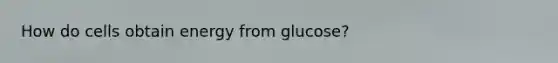 How do cells obtain energy from glucose?