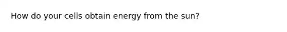 How do your cells obtain energy from the sun?